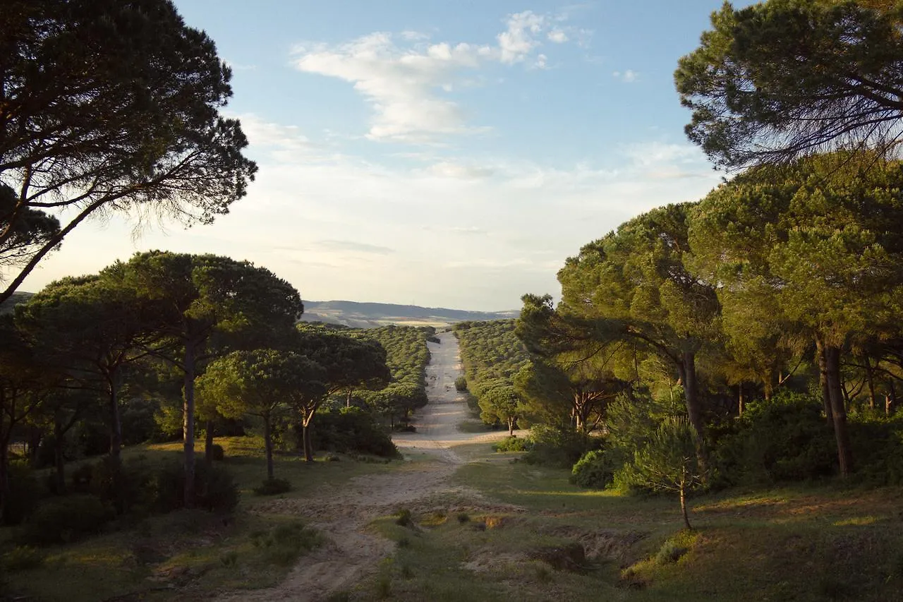 Camping Kampaoh Los Canos Los Canos De Meca Espagne