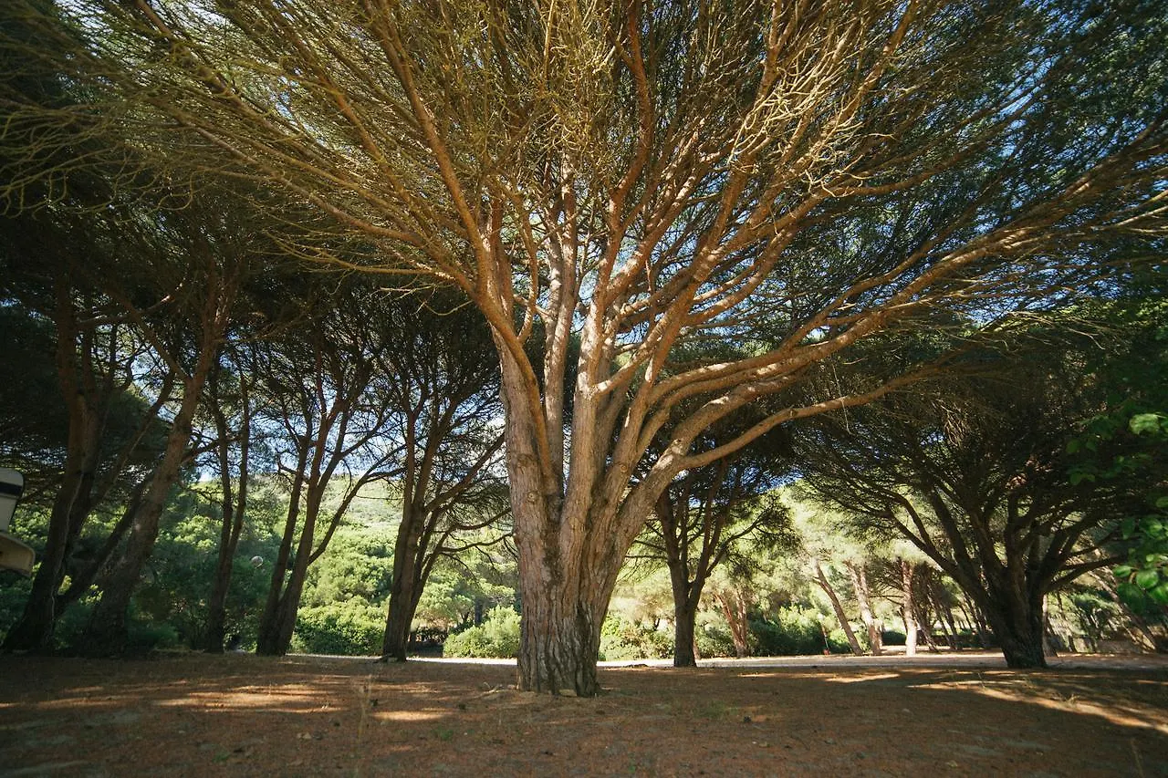 Kampaoh Los Canos Los Canos De Meca Camping